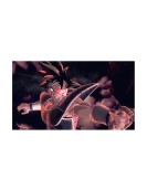 NSW Dragon Ball Xenoverse 2