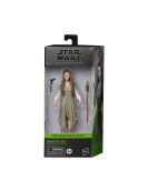 Hasbro Fans - Disney Star Wars The Black Series: Return of the Jedi - Princess Leia (Ewok Village) (Excl.) (F4352)