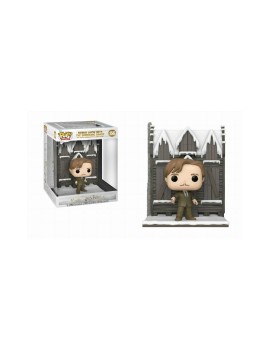 Funko Pop! Deluxe: Harry Potter Chamber of Secrets Anniversary 20th - Remus Lupin with the Shrieking Shack #156 Vinyl Figure