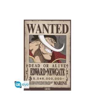 Abysse One Piece - Wanted Whitebeard Maxi Poster (91.5x61cm) (GBYDCO596)