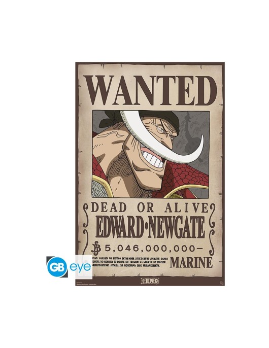 Abysse One Piece - Wanted Whitebeard Maxi Poster (91.5x61cm) (GBYDCO596)