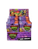Giochi Preziosi Teenage Mutant Ninja Turtles: Mutant Mayhem - Mini Ninjas Figure (Random) (TU808000A)