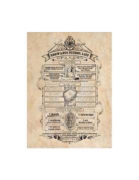 Pyramid: Harry Potter (Map And School List) Boxed Posters (52x38cm) (PPB35442)