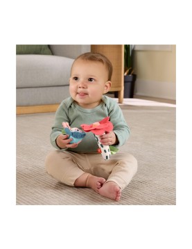 Fisher Price®: Planet Friends - Shake 'n Rattle Busy Bee (HYR56)