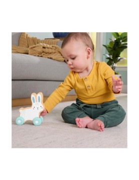 Fisher-Price®: Wooden Push-Along Bunny (JDM52)