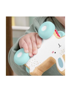 Fisher-Price®: Wooden Push-Along Bunny (JDM52)