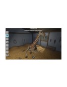 NSW My Vet Practice in the Zoo