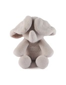 Spin Master Gund Baby: Peek A Boo - Little Flappy the Elephant (6073993)