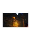 PS5 The Sinking Forest