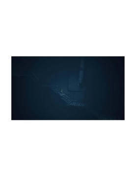 NSW Little Nightmares III