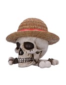 Nemesis Now: One Piece - Luffy Jolly Roger Box