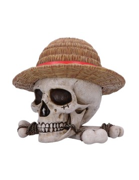 Nemesis Now: One Piece - Luffy Jolly Roger Box