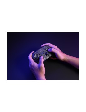 Turtle Beach: Victrix Pro BFG Reloaded - Wireless Controller [For PC, mobile] (Color: Black)
