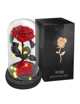 Παντοτινό Τριαντάφυλλο σε Γυάλα 22x14cm Homie 423030