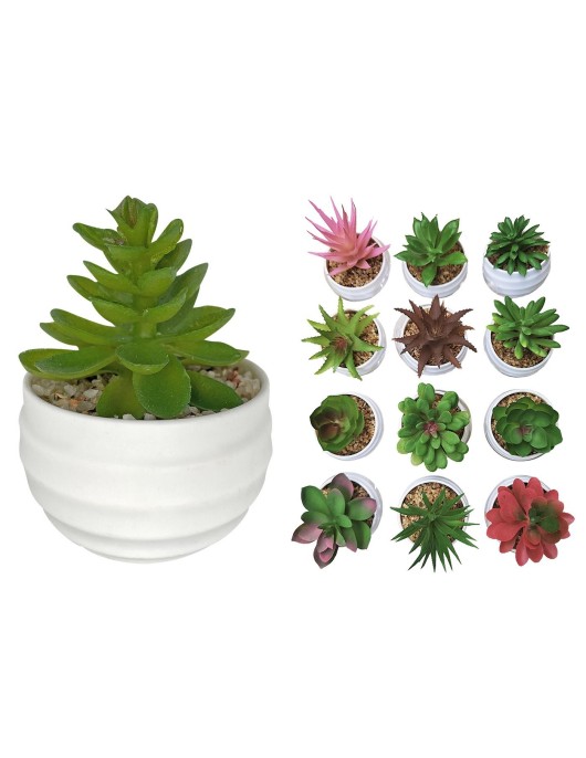 Γλαστράκι Πλαστικό Οβάλ με Φυτό 8x7cm Homie 423044