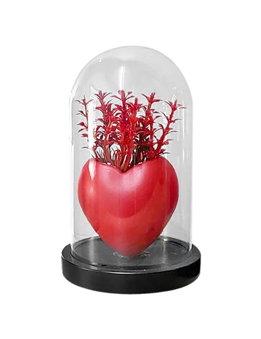 Γυάλα με Λουλούδια Κόκκινη Καρδιά 18x11cm Homie 423046