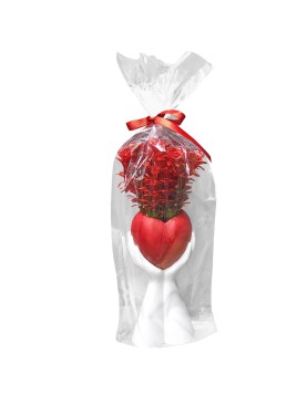 Διακοσμητική Γλάστρα σε Παλάμη με Κόκκινα Άνθη Κόκκινη Καρδιά 35x10cm Homie 423049