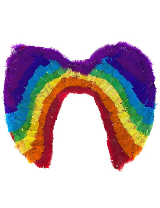 Φτερά Πολύχρωμα 50x35cm Carnavalista 232261