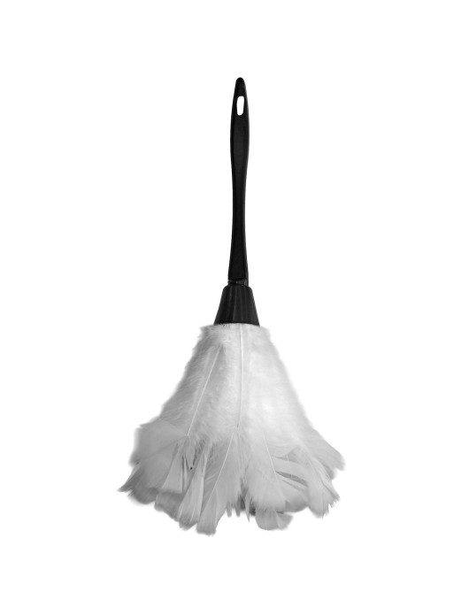 Φτερό Καμαριέρας Ξεσκονιστήρι 37cm Carnavalista 232719