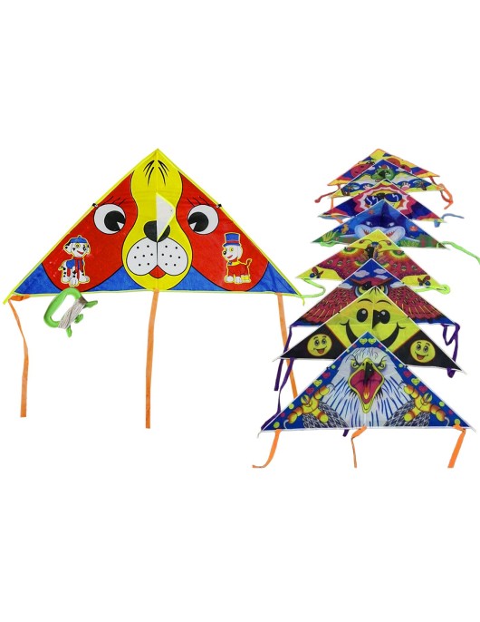 Αετός Τριγωνικός με Σχέδιο με Ουρά 110x53cm Carnavalista 23483