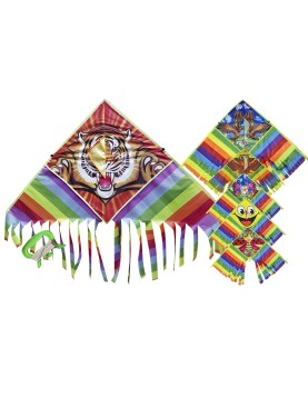 Αετός Πολυεστερικός Σχέδια 140x60cm Carnavalista 23708