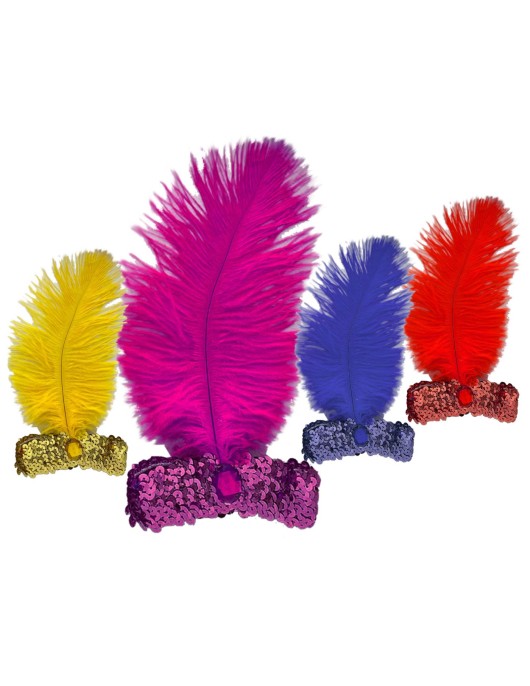 Κορδέλα με Φτερό-Πετράδι 22x15cm Carnavalista 23815