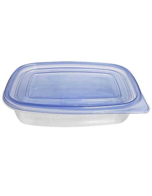 Δοχείο Τροφίμων Πλαστικό Μπλε 1l 22x16,5x5cm 1L Homie 101706