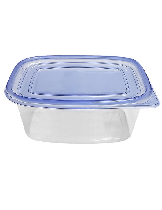 Δοχείο Τροφίμων Πλαστικό Μπλε 1,9l 22x16,5x9,5cm 1,9L Homie 101707