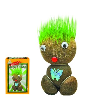 Φυτρούλης 12cm Homie 116272