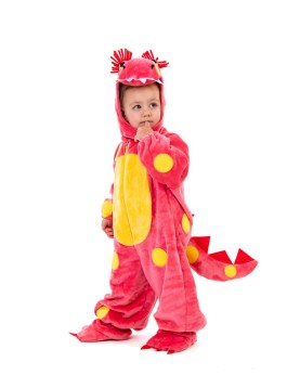Αποκριάτικη Στολή Dragon 12 μηνών
