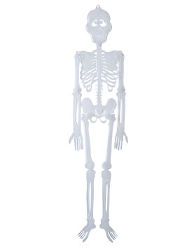 Αποκριάτικο Αξεσουάρ Κρεμαστός Σκελετός 88cm