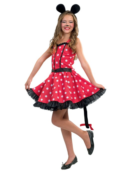 Αποκριάτικη Στολή Ποντικίνα μεγ.10